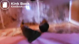 Poop on the bathroom floor - video 2