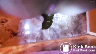 Poop on the bathroom floor - video 2