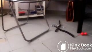 Beautiful scat girl - video 3