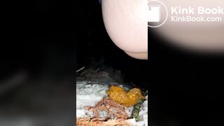 japanese amateur girl outdoor pooping