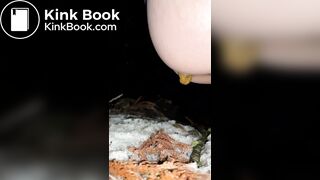 japanese amateur girl outdoor pooping