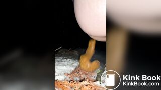 Japanese girl's steam poop