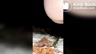 Japanese girl's steam poop