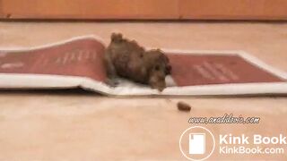 She takes a fat dump on a book