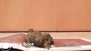 She takes a fat dump on a book