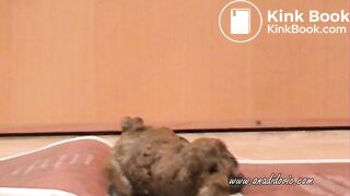 She takes a fat dump on a book