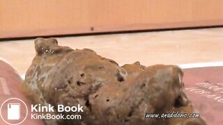 She takes a fat dump on a book