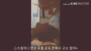 korean scat pooping 한국인 스캇 유료자료