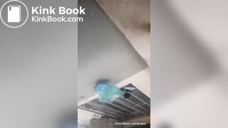 Mis Hồng ỉa vào miệng cho slave ăn cứt