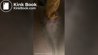 Mistress Toilet Treats