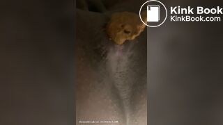 Mistress Toilet Treats