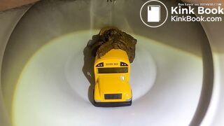 Bus in the toilet (2)