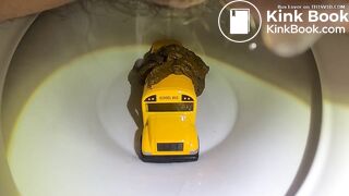 Bus in the toilet (2)