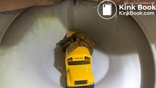 Bus in the toilet (2)