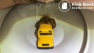 Bus in the toilet (2)