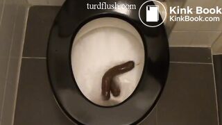Turd Flush