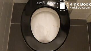 Turd Flush