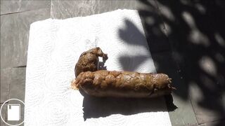 Outdoors Shit and asshole inspection