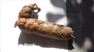 Outdoors Shit and asshole inspection