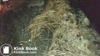 Christmas Sweet Outdoor Release