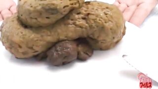 pooping - video 353