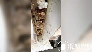 chinese girl pooping voyeur 32