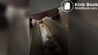 chinese girl pooping voyeur 28 - video 3