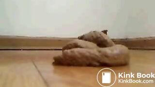 Pooping - Chubby girl 1