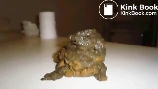 Pooping - Chubby girl 2