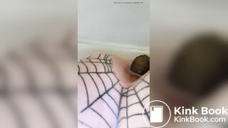 Spider poop