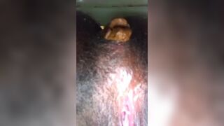 Ebony poop in toilet