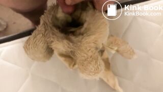 Bunny Plush gets piss