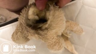 Bunny Plush gets piss