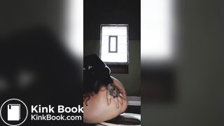 classyngassy toilet 6