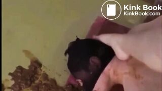 human toilet slave - video 3