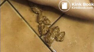 Fireside intercourse in feces