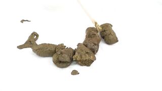 Shy girl with enlarged anus shitting and farting