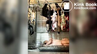 Scat and piss for slave