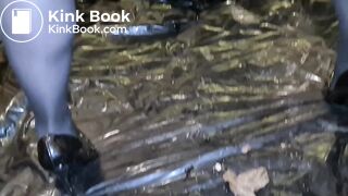 Modern Scat Stars 493