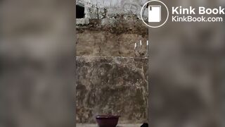 Cellar poop