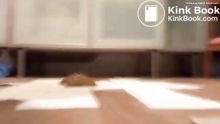 Diarrhea on the floor - video 2