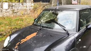 Aggressive poo on her car