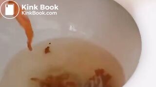 korean girl toilet enema