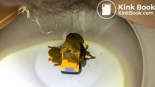 Diarrhea blowout on bus in toilet