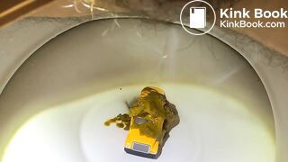 Diarrhea blowout on bus in toilet