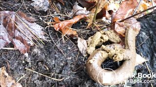 woman pooping in forest
