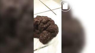 Spying on a Turd Cutter