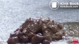 FF_028(03) public poop