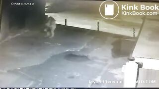 Girl caught shitting outside on CCTV