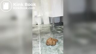 A Fine Dump (French)